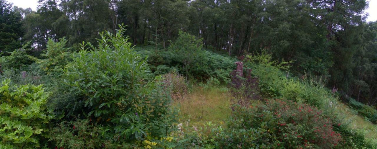 לינה וארוחת בוקר אינברנס Pottery House Loch Ness מראה חיצוני תמונה